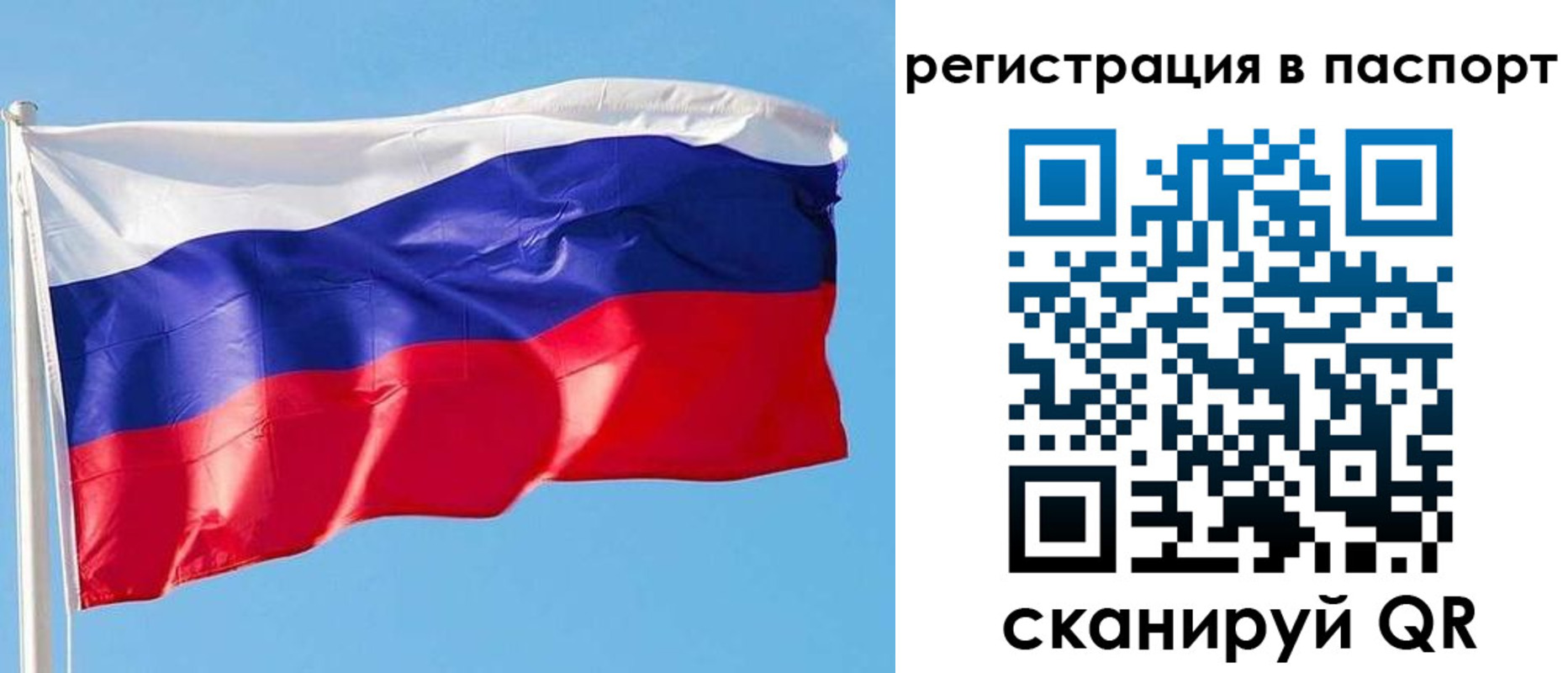 прописка законно в Геленджике